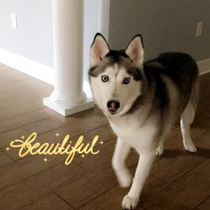 Meet your Posher, Natalie